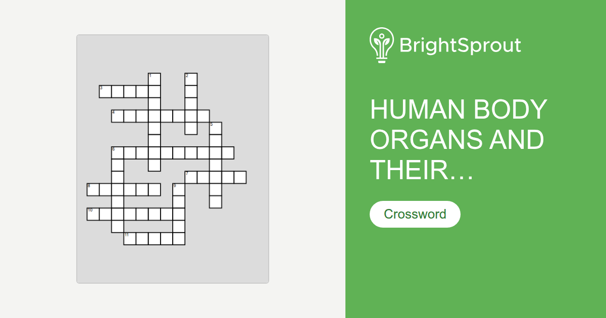 Human Body Organs and Their Functions Crossword Puzzle - Free Printable ...