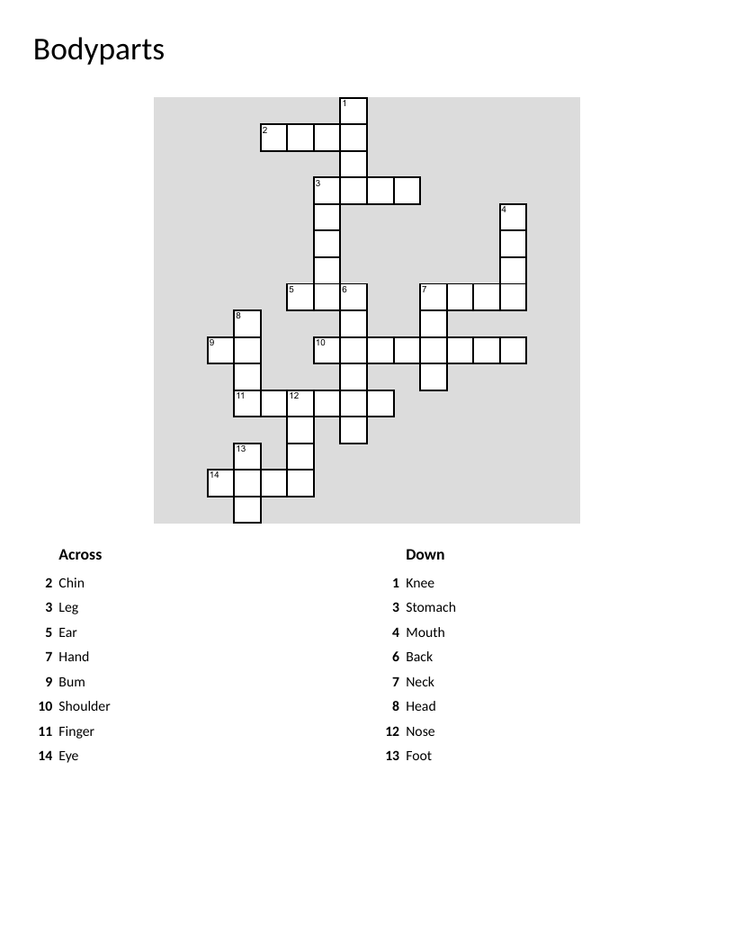 German body parts crossword puzzle with vocabulary like head, hand, and shoulder.