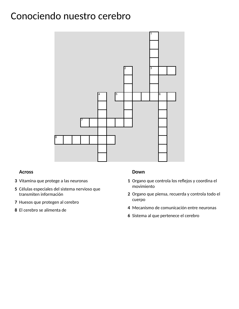 Spanish brain anatomy crossword with vocabulary for neurons, cerebrum, and nervous system.