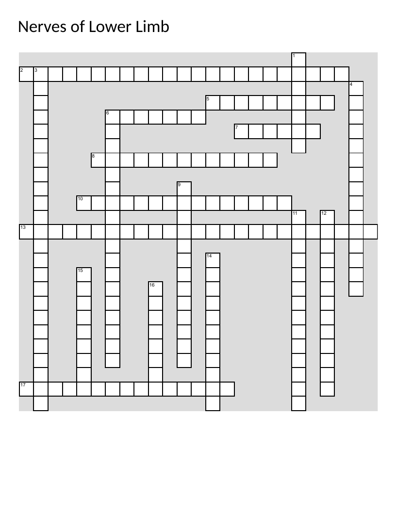 Anatomy crossword on lower limb nerves including sciatic, femoral, and tibial branches.
