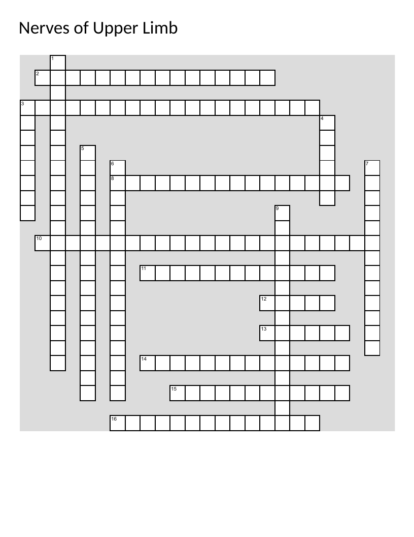 Anatomical crossword on upper limb nerves, radial, median, and ulnar pathways.