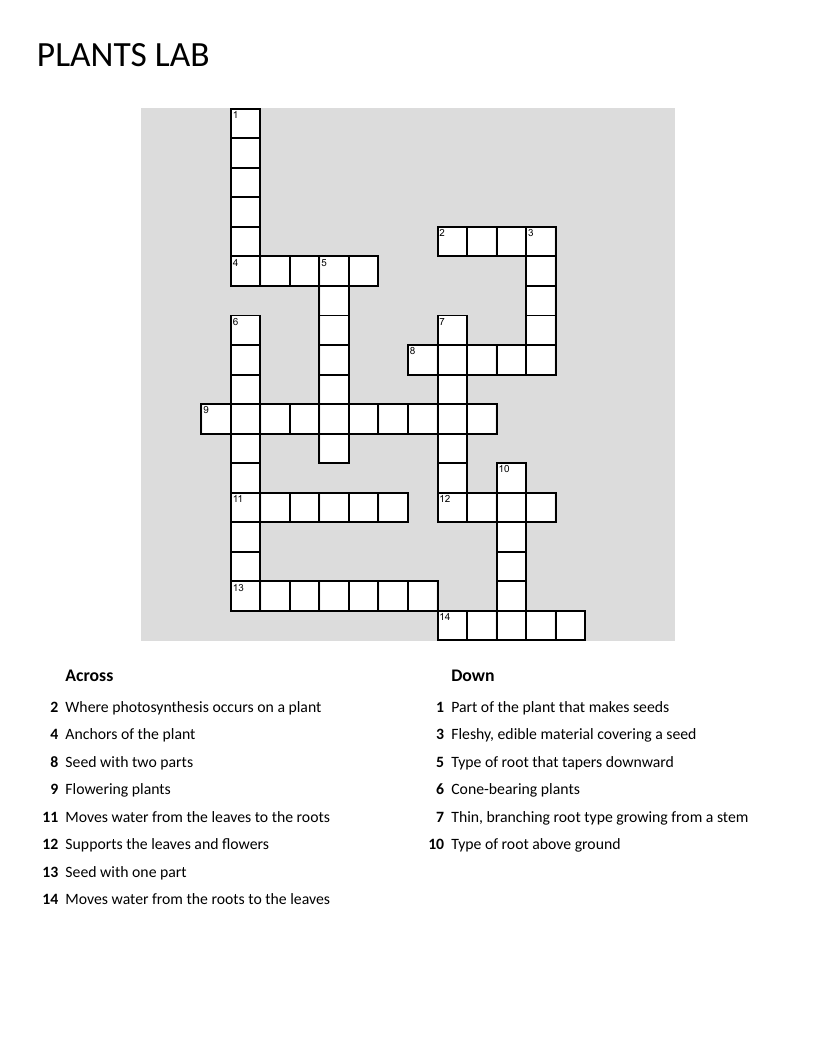Plant anatomy crossword puzzle with xylem, phloem, roots, and photosynthesis vocabulary.