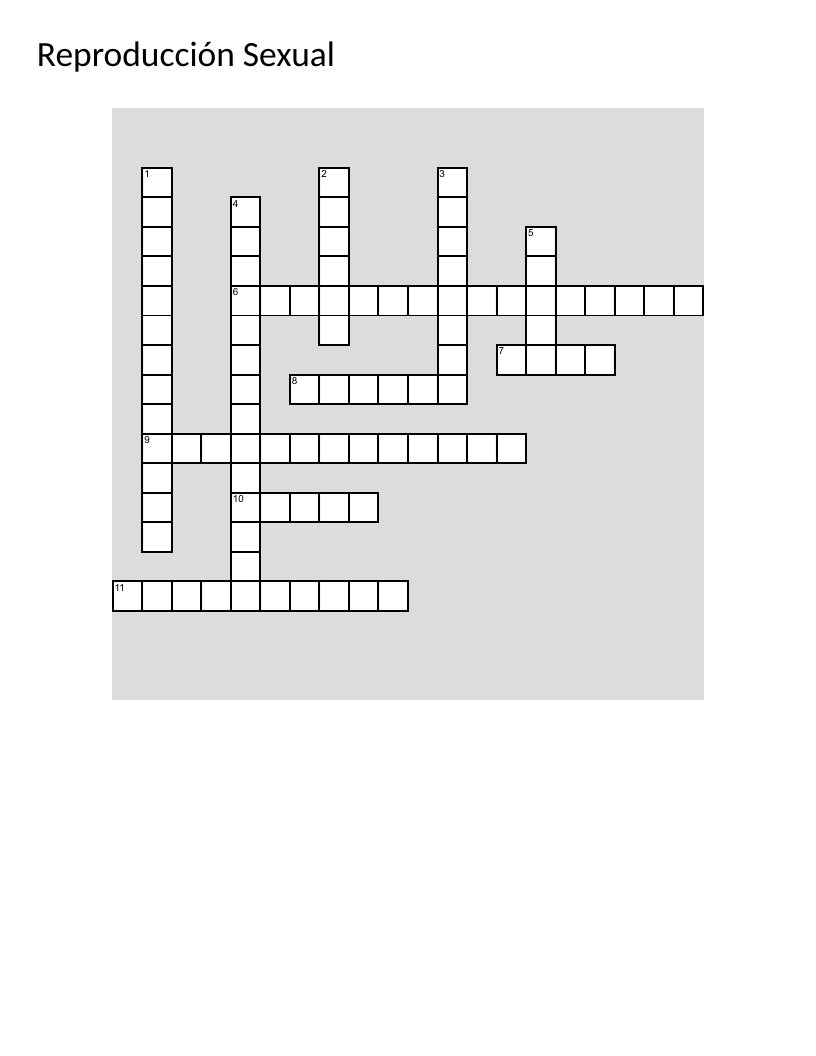 Sexual reproduction biology crossword with Spanish vocabulary for gametogenesis and gamete structures.
